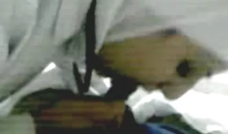 Jalang cantik suka video bokep online bule mengisap kontol