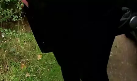 Siswa berambut merah akan kacau oleh tetangga barunya yang bokeponlinejepang cantik
