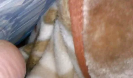Remaja Kimmy nonton gratis bokep korea Granger menjilat anus untuk pacar lesbian