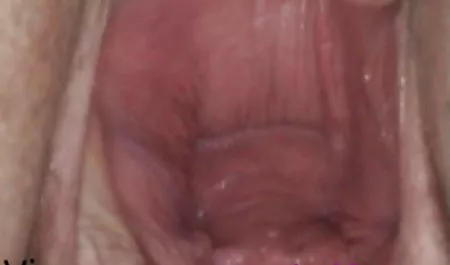 Seekor kucing Amerika Latin lembut bokek onlen dan ikal di sekitar hahahl-nya, merayunya dengan susu subur dan pesona merah muda basah